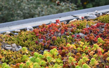 the cost of Mourne Beg green roof installation