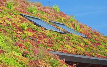 Mourne Beg living roof systems