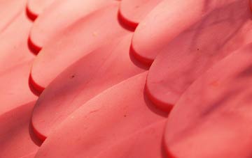 Mourne Beg plastic roof costs