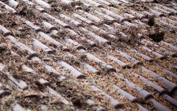 Mourne Beg roof cleaning companies