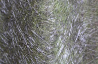 Mourne Beg fibreglass roof work